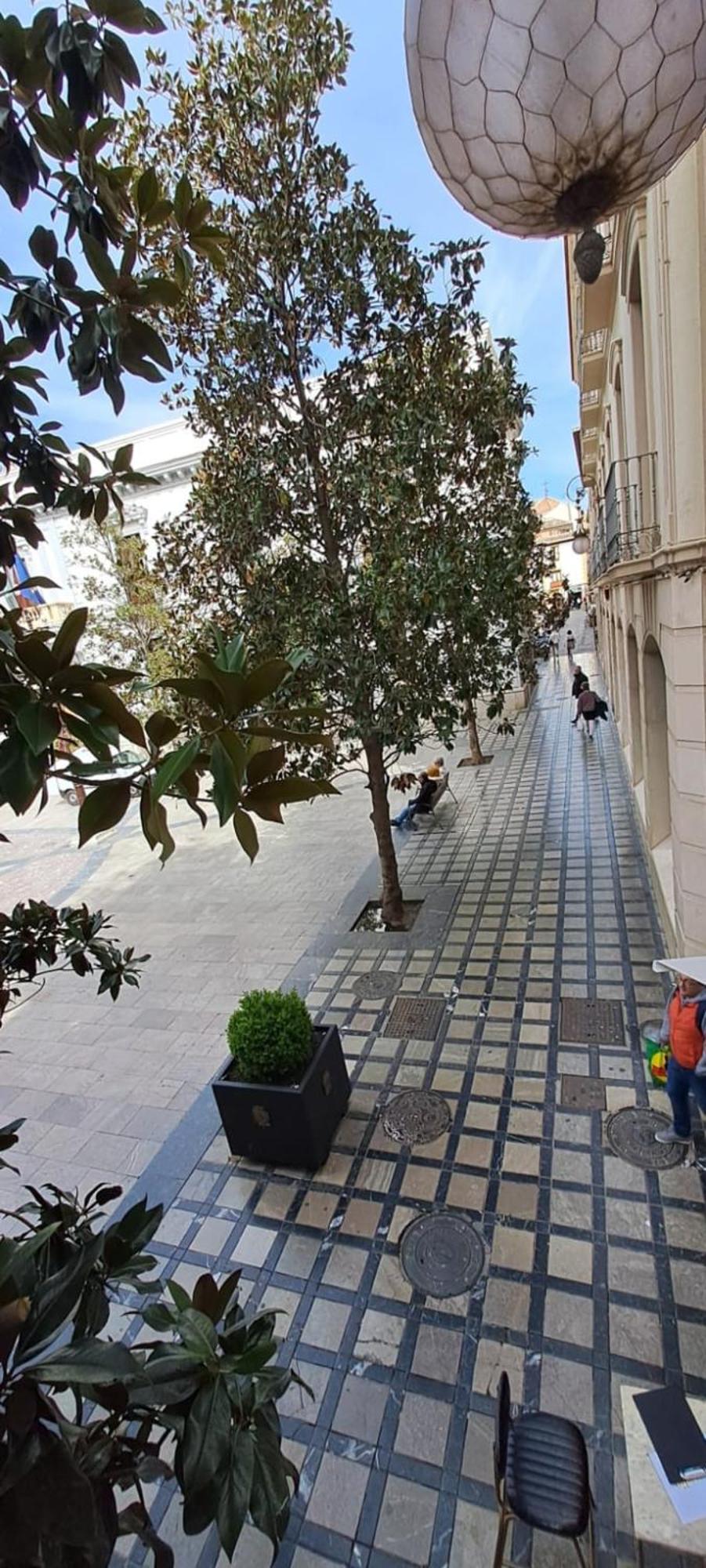 Hotel Nest Style Granada Esterno foto